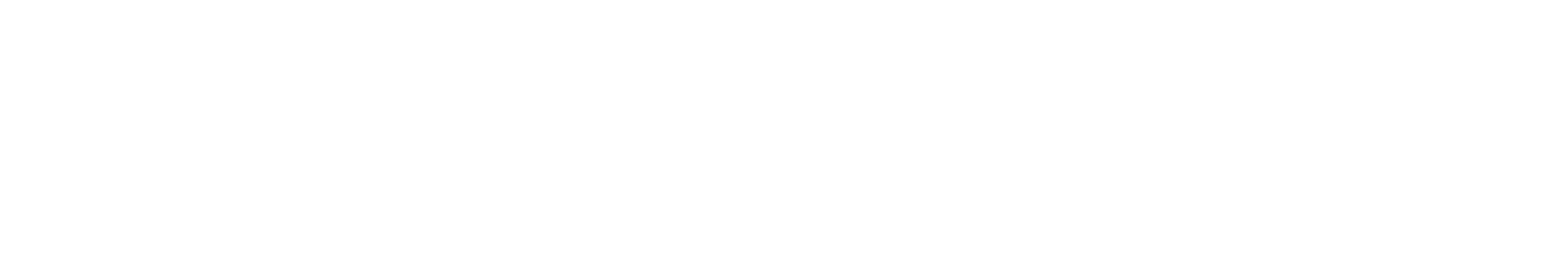 LOGO-SOULTRIX-2.png